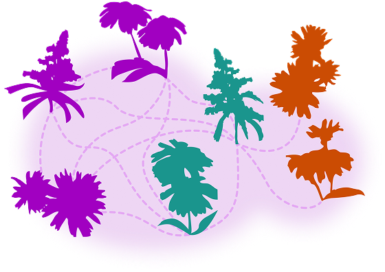 An abstract chart mapping to different icons of leaves.